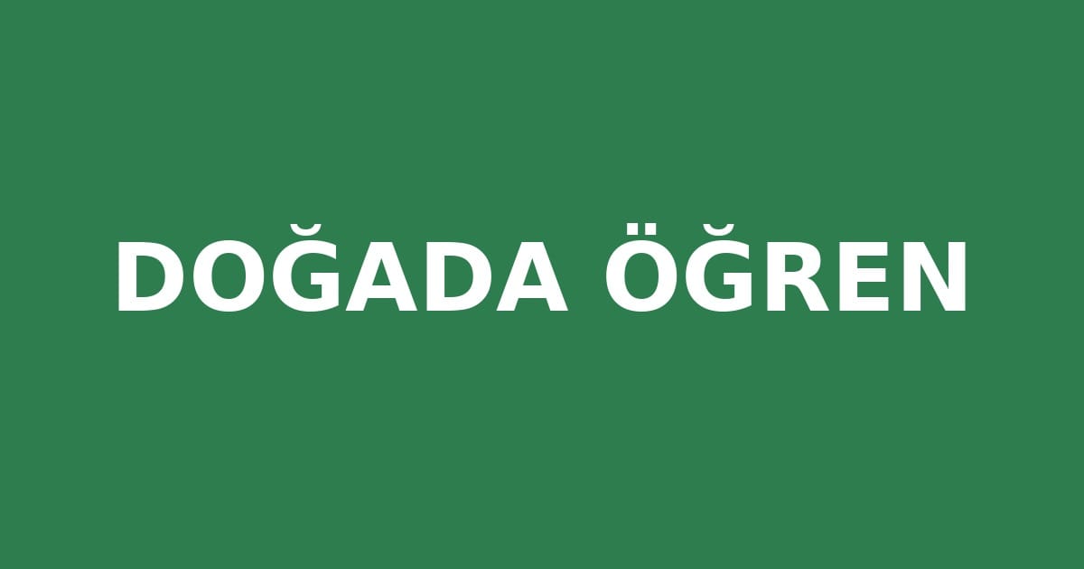 Doğa Temelli Öğrenme Nedir? Çocukla Doğada Etkinlikler sloganı