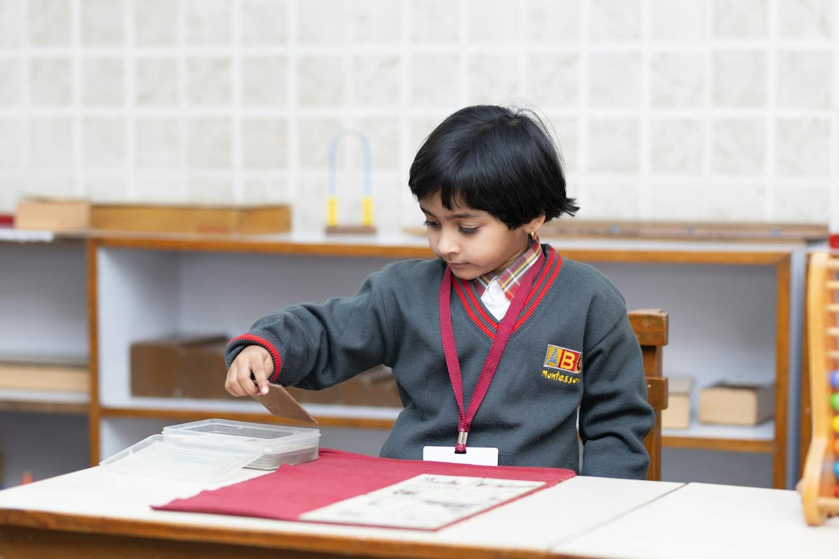 Evde Montessori Pratik Yaşam Aktiviteleri, Yaşa Göre Adım Adım Rehber